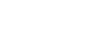 Undead Or Alive