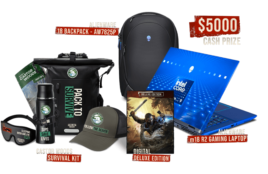 Grand Prize