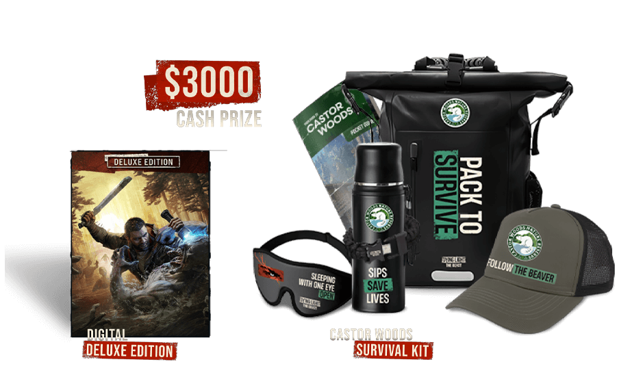 Second Place Prize
